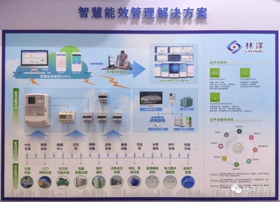共襄盛會(huì)謀發(fā)展，林洋助力儀器儀表行業(yè)創(chuàng)新升級(jí)